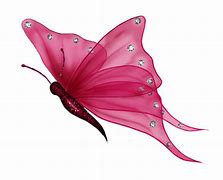 Image result for Black and White Color Splash Butterfly