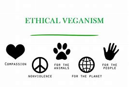 Image result for Veganism