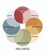 Image result for 9 Dimensions of Health