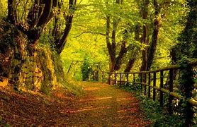 Image result for 10 Window Lock Screen Wallpaper Nature