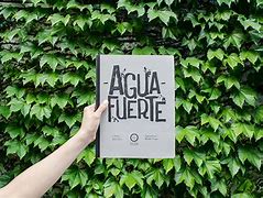 Image result for aguafuerre
