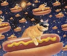 Image result for Taco Cat Galaxy