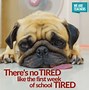 Image result for Cute School Memes