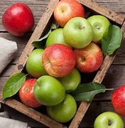 Image result for Types of Apple Fruit