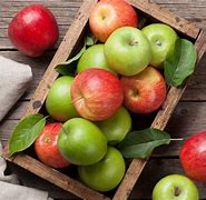 Image result for Apple Fruit Products