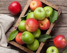 Image result for Best Eating Apple's