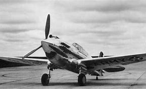 Image result for P-40 Blush Gold