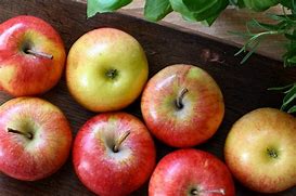 Image result for 100 Apples