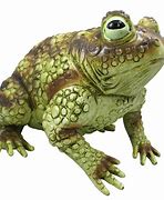 Image result for How to Decorate a Rubber Frog