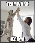 Image result for Teamwork Meme Funny Office