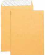Image result for Catalog Envelopes