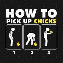 Image result for How to Pick Up a Chick Meme