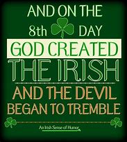 Image result for Funny Irish Sayings About Life