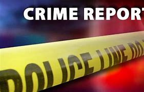 Image result for Crime Report Logo