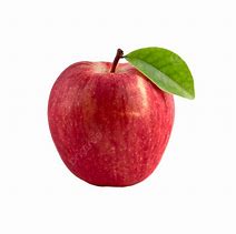 Image result for Apple Black and White Still Life Fruit