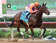 Image result for Tamara Race Horse