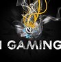 Image result for HD Gaming Admin Logo