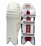 Image result for Newbery Cricket