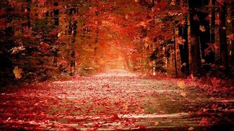 Image result for Animated Fall Wallpaper