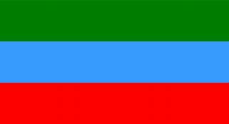 Image result for Dagestan Flag