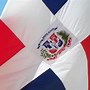Image result for Dominican Flag Logo
