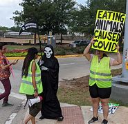 Image result for Vegan Protesters