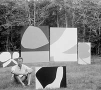 Image result for Ellsworth Kelly Artist