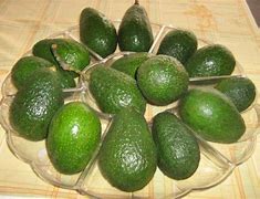 Image result for aguacatao