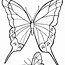 Image result for Butterfly Jump