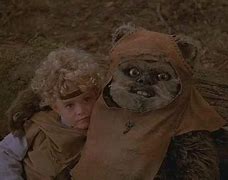 Image result for Wicket