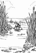 Image result for Why Do I Like the Swamp