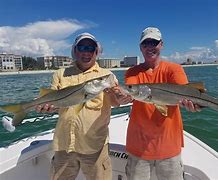 Image result for Snook Season