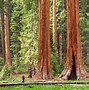 Image result for 100 Most Beautiful Places in America