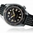 Image result for Seiko Dive Watch Blue and White