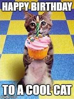 Image result for Happy Birthday Cool Cat Meme