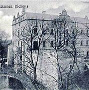 Image result for chocianowiec