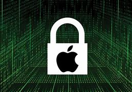 Image result for Apple Security Apple Explained