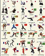 Image result for Styles of Karate