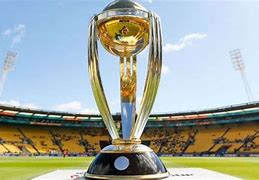 Image result for Cricket Trophy Large Size