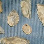 Image result for Paleo-Indian Stone Tools Identification