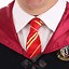 Image result for Plus Size Harry Potter Costume
