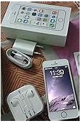 Image result for iPhone 5s Gold Earphones