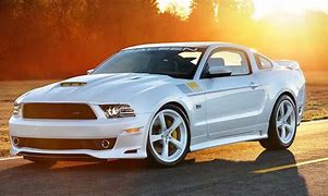 Image result for saleen photos