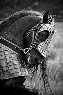 Image result for Medieval War Horse Breeds