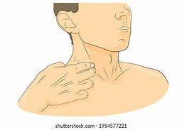 Image result for Carotid Artery Palpation