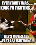 Image result for Karate Cat Meme