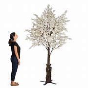 Image result for Fake Black Cherry Tree