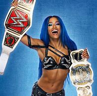 Image result for Custom WWE Divas Belt