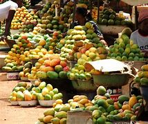 Image result for Africa Fruits Masau