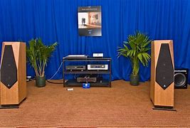 Image result for Acoustic Speakers